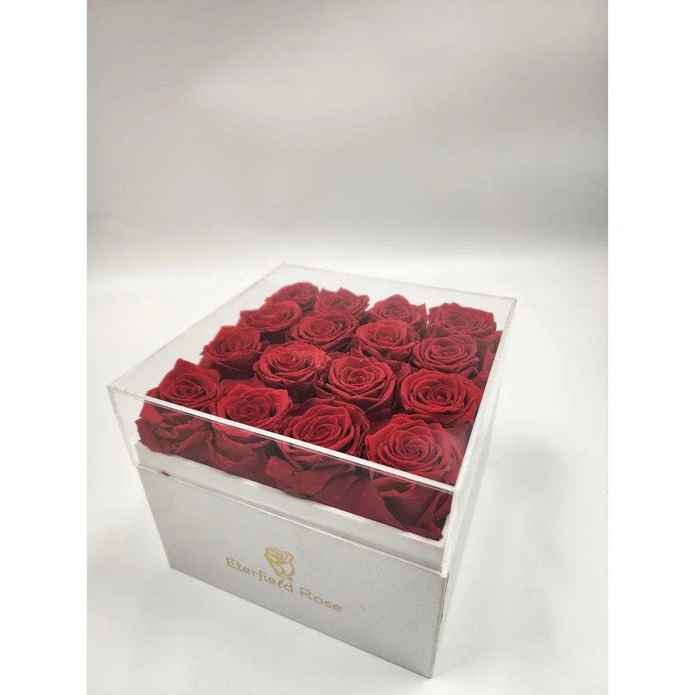 Eterfield Rose Preserved Red Roses in White Square Box with Acrylic Lid 16 Count